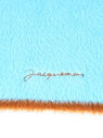 Jacquemus L’Echarpe Neve Scarf in Light Blue Light Blue fljac0150035blu