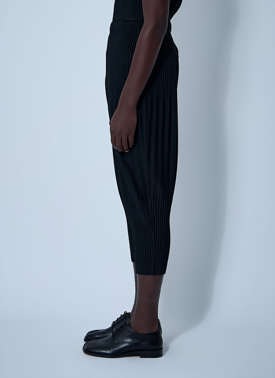 Pleated Pants