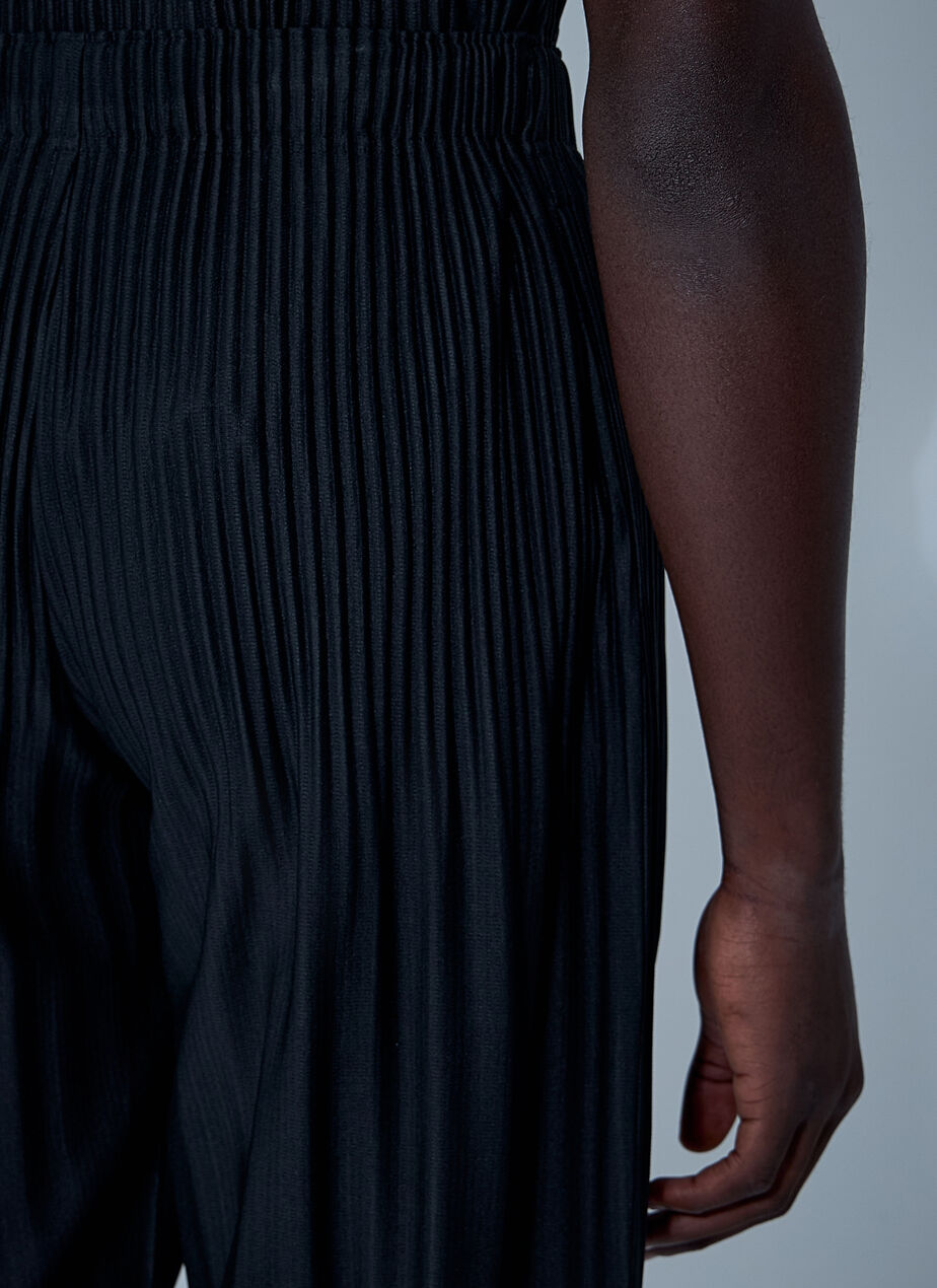 Pleated Pants