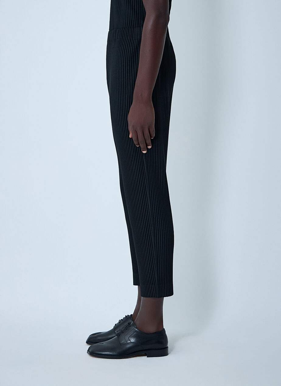 Pleated Pants