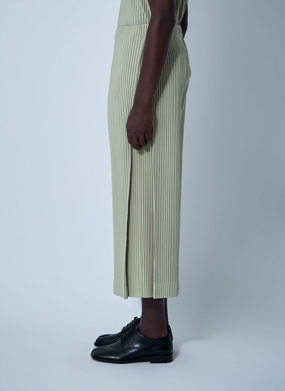 Pleated Pants