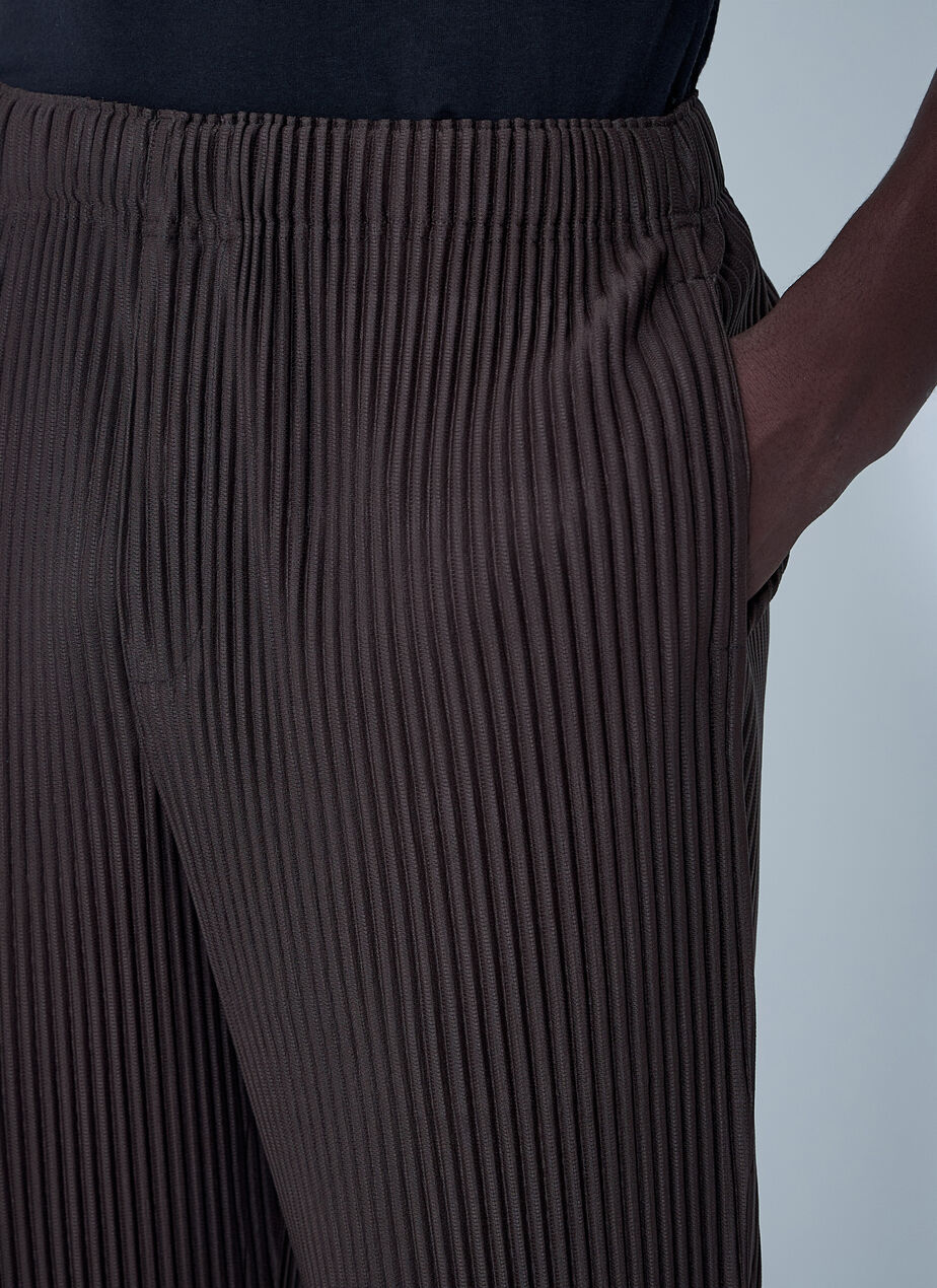 Pleated Pants