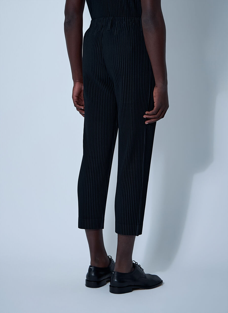 Pleated Pants