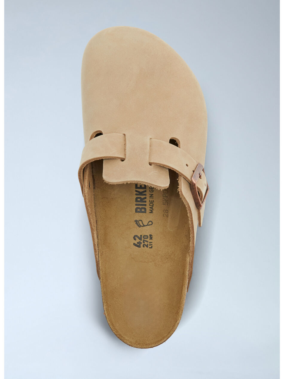 Boston Mules