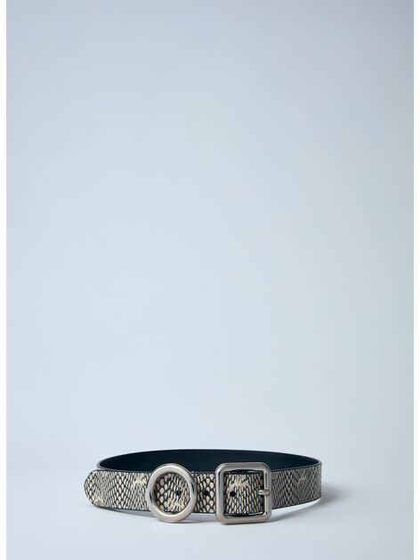 La Ceinture Regalo Cintura