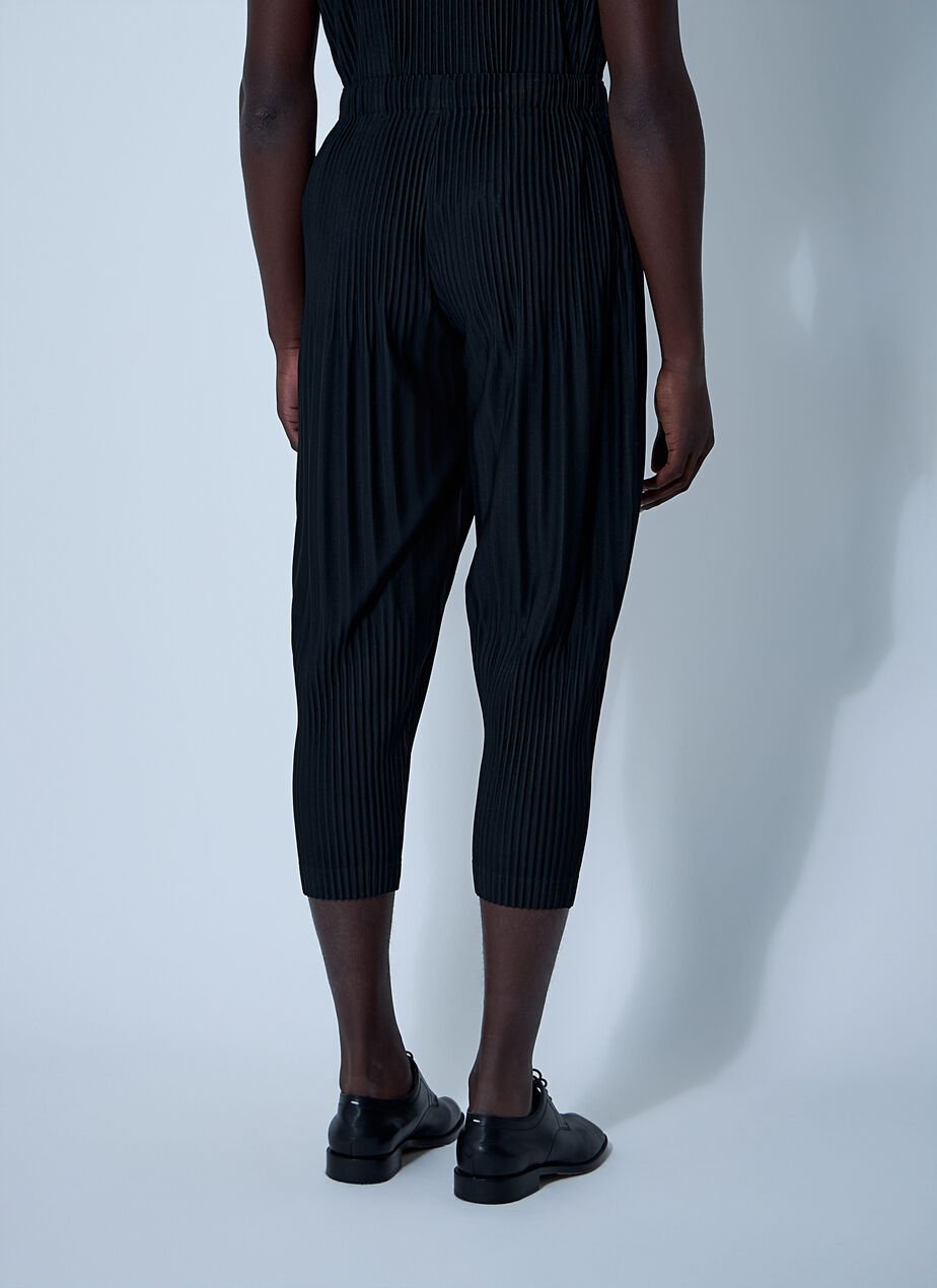 Pleated Pants