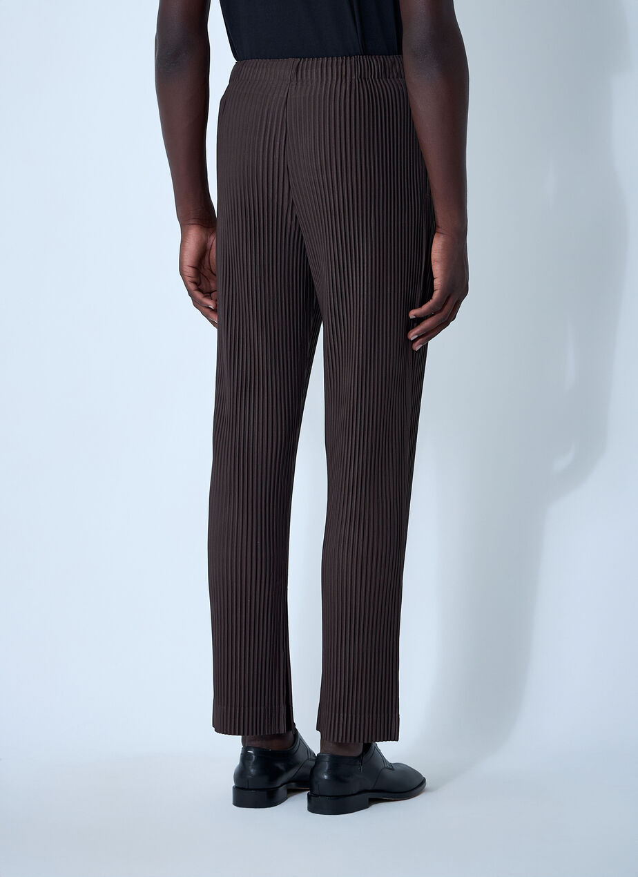 Pleated Pants
