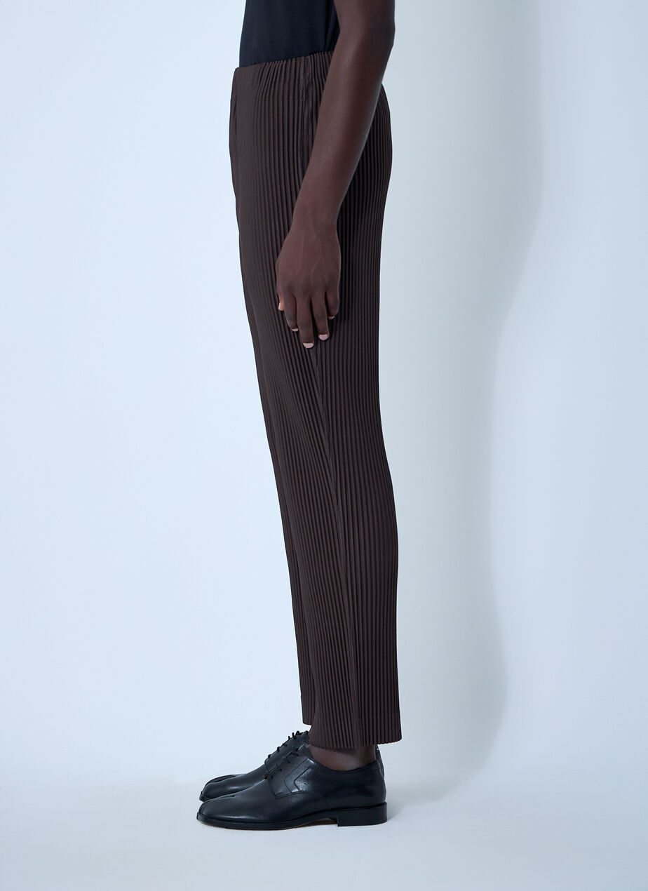Pleated Pants